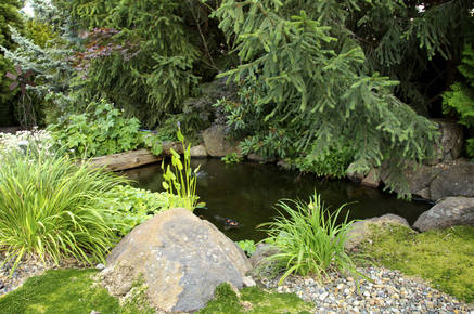 Water Features